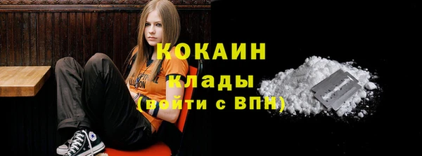 кокс Арсеньев