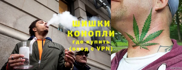 дмт Переславль-Залесский